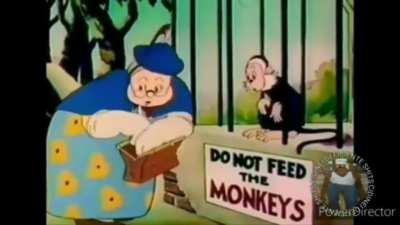 Não alimente macacos