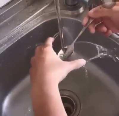 What the living fuck?