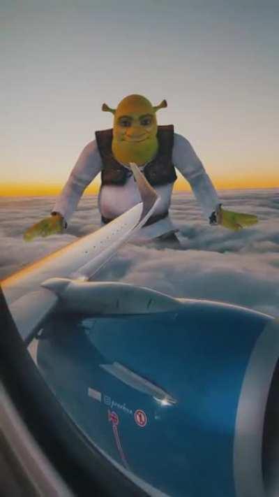 Somebody once told me the plane is gonna roll me
