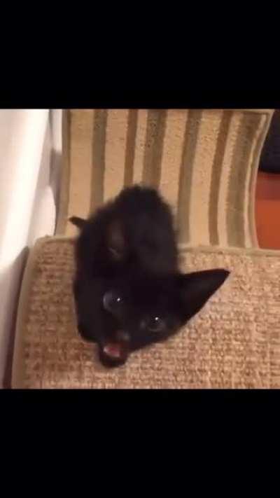 AAAAAAAAAAAAAAAAAAAAAAAAAAA