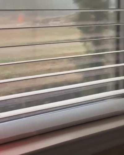 Dog.exe has experienced an unexpected crash