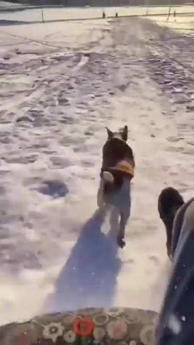 Наперегонкииии