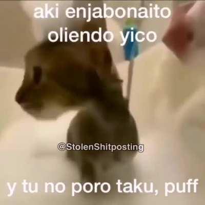 aweonasogang - Video #1111