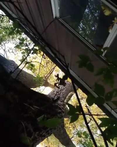 She used to blame the bad food on the oven