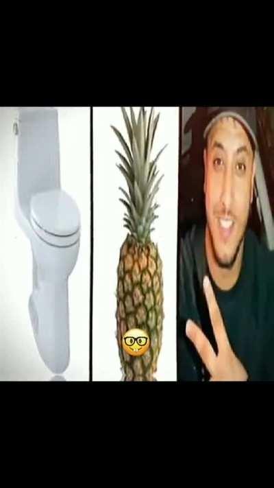 toilet ananas dasdas