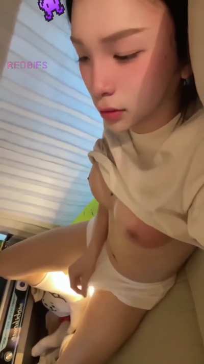 Morning Woods Overnight Bus 