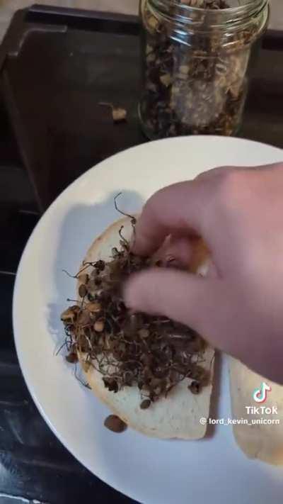 vegan food looks good ngl