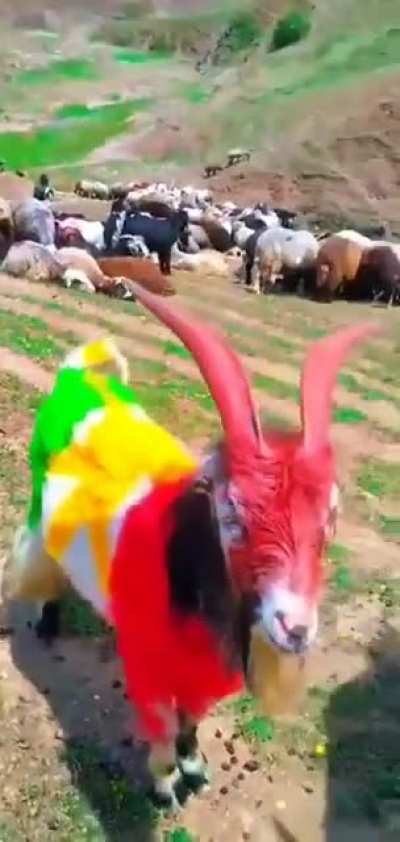 guys opinion on my farm?