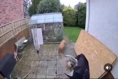 One life down Eight more to go