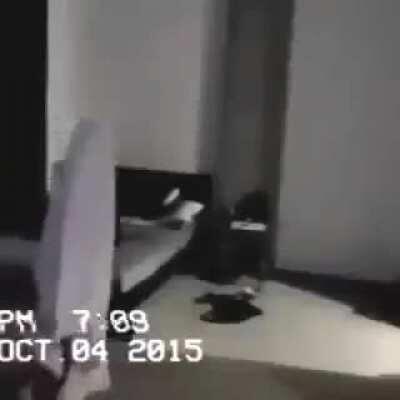 Fake ghost get real bonk