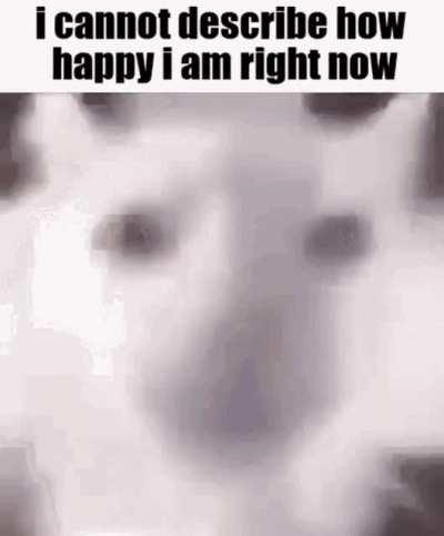 400 WUNKER LESS GOOOO