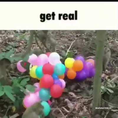 1v1 on btdb I clap yo ass ez