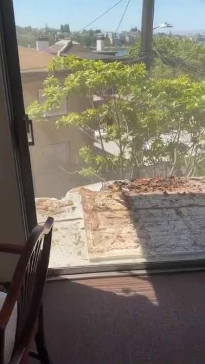 Madrazo’s not gonna be happy