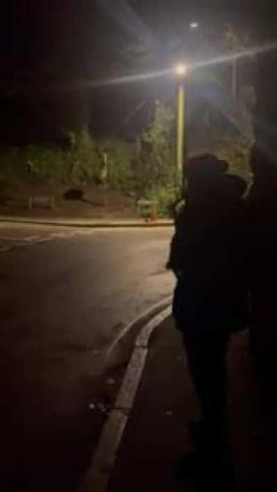 missed it by that much