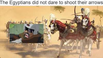 How Persians Used Cats to Conquer Egypt