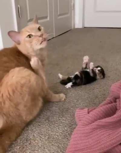 Help, I've fallen, and I can't get up!