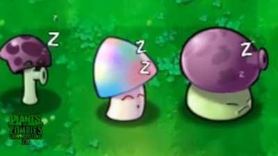 quiet... the plants are sleeping