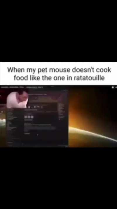 mouse