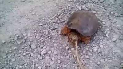 não mexe com qm ta quieto