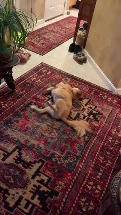 The new Firefox Loading icon after some budget cuts