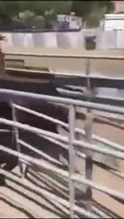 Which way did he go?