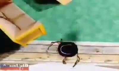 من فضلك ساعدنى