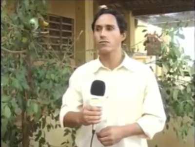 o papagaio dá até risada