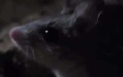 It’s so beautiful :’)