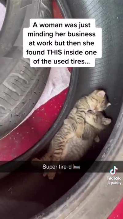 Warning: Cuteness overload