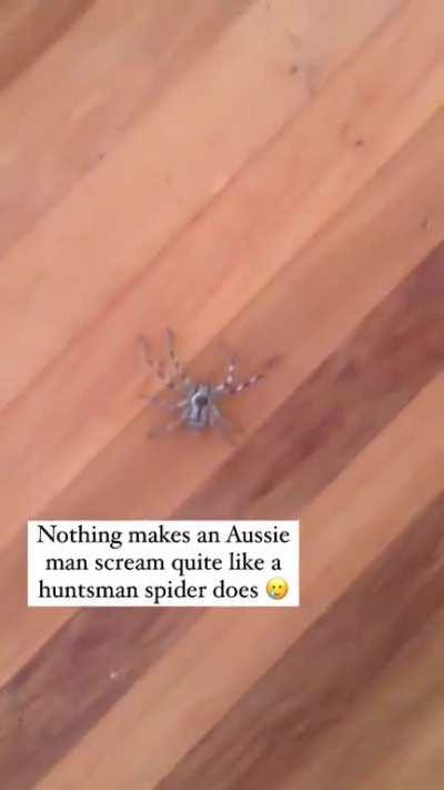 Thanks, I hate Australia