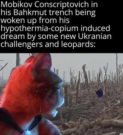 Should've send those Tanks sooner, but better later than never...