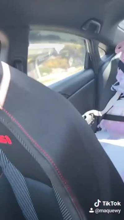 Took Luna grocery shopping today