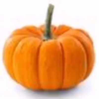 P U M P K I N