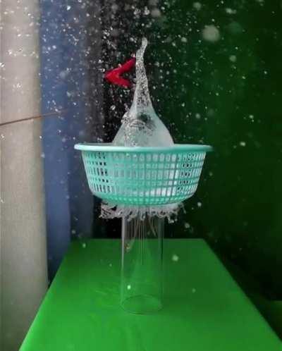 This beautiful slow mo shot