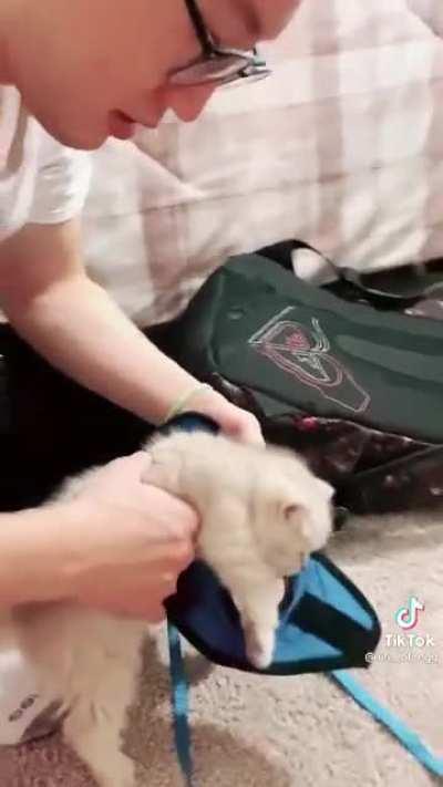 He's not having any of it