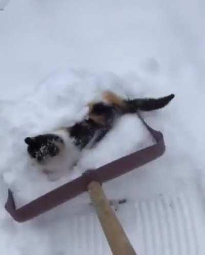 He is really enjoying