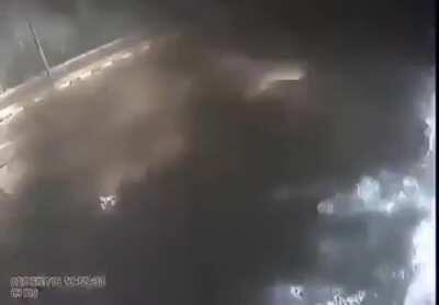 How can you be this stupid?