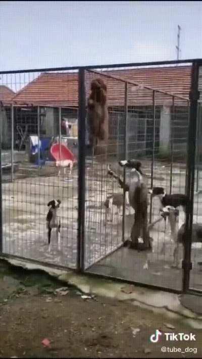 2021 is like: Come on, boys! We can do it!