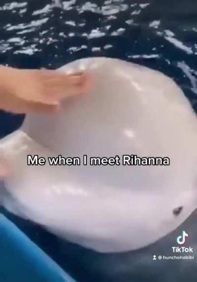 Meeting Rihanna