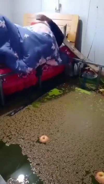 Posting stolen memes pt.1