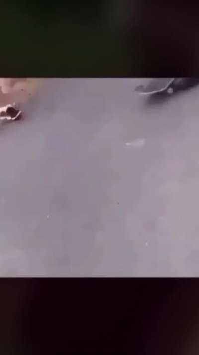 Sucker punching a guy with brass knuckles