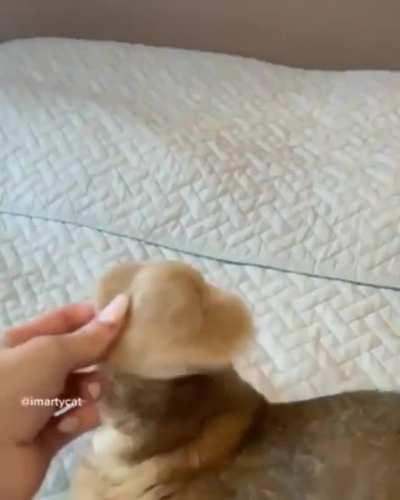 The fur hat at the end made it