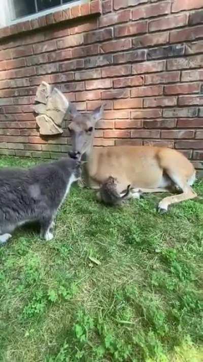 A unique group of friends