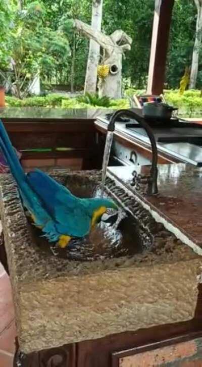 Hey, who turned this off