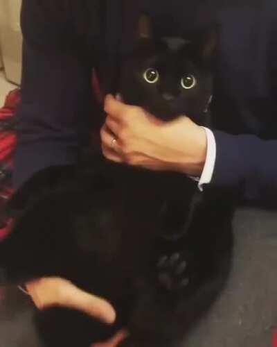 Look at those sparkling eyes ✨👁 👁✨