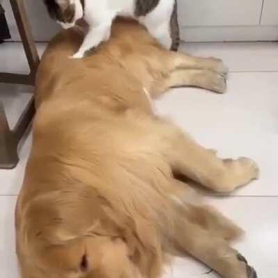 They Said They Were Too Different. They Said It Wouldn't Last