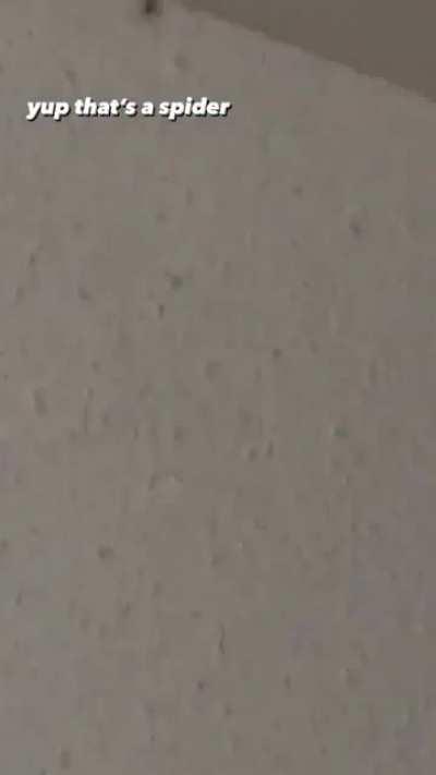 Inde Navarrette [Superman & Lois]