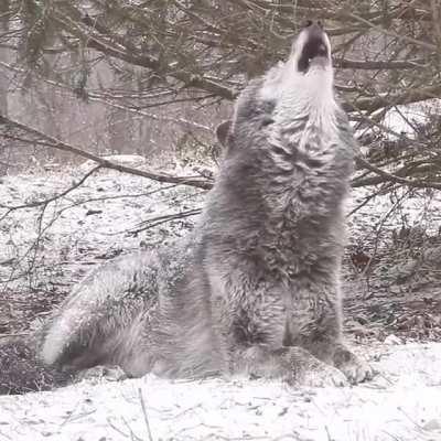 Should have pulled out.