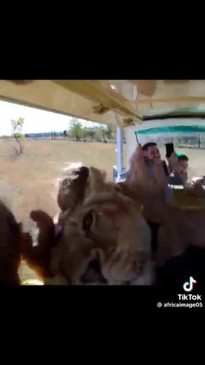 Киска хочет ласки)