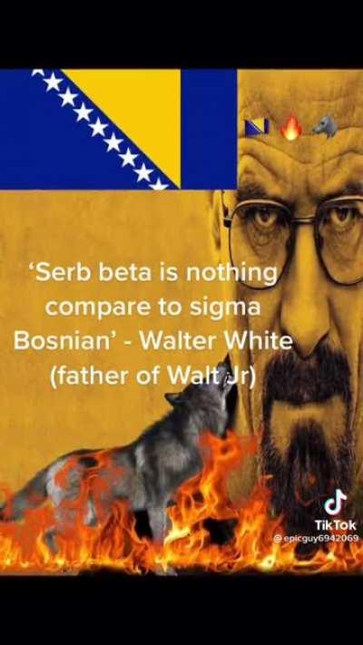 Do I even need to explain?: